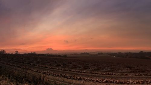 Scenic view of field against sky during sunset