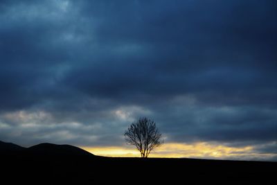 Silhouette of tree against cloudy sky
