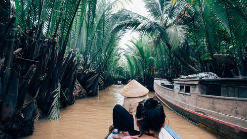 Rear view of people standing by palm trees