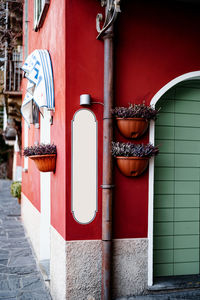 Potted plants on wall outdoors