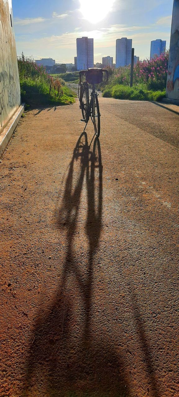 SHADOW OF BICYCLE ON ROAD IN CITY