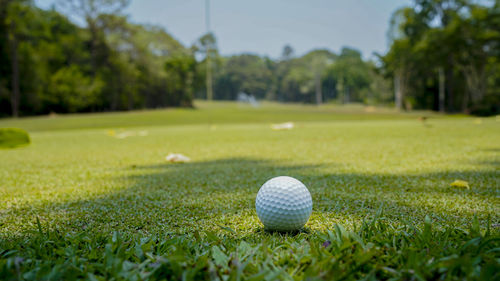 Golf ball is on a green lawn in a beautiful golf course with morning sunshine. 