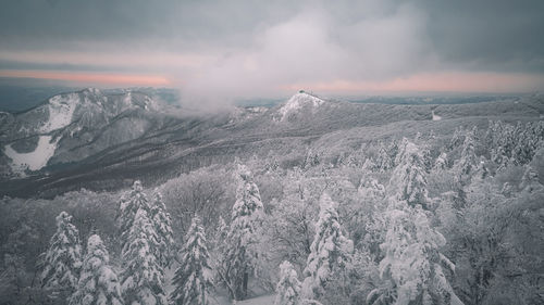 environment