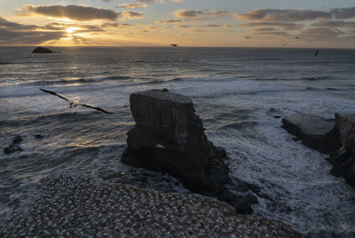 Scenic view of sea during sunset