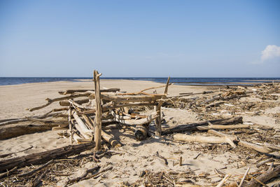Driftwood on beach against sky