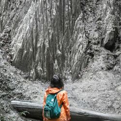 Rear view of man on snow covered tree