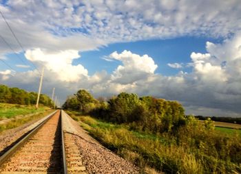 Surface level of railroad track amidst trees against sky