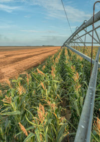 View of field against sky