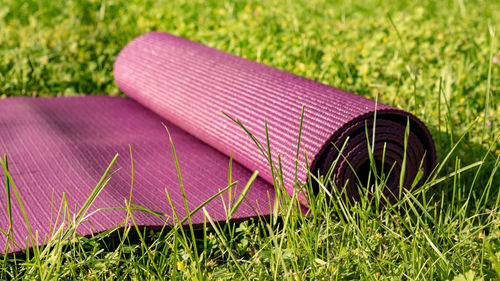 Rolled yoga mat on green grass with sunlight, close up