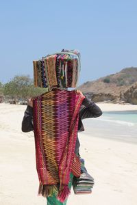 Rear view of person on beach against clear sky