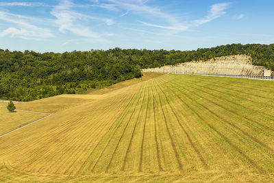 Scenic view of agricultural field against sky