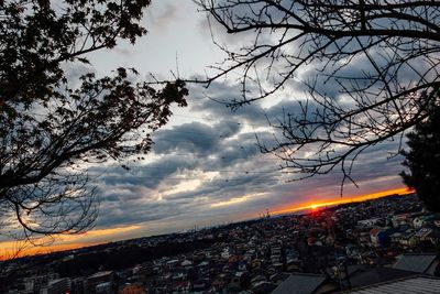 Silhouette bare trees by city against sky at sunset