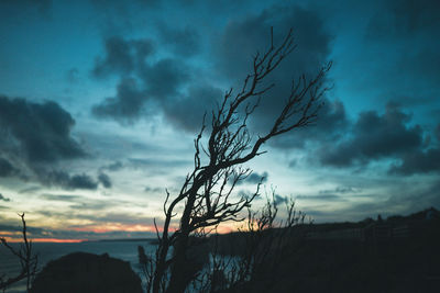 Silhouette of bare tree against dramatic sky