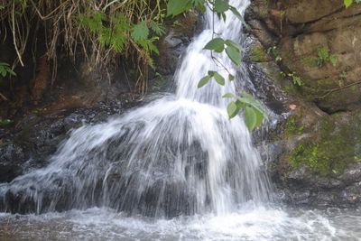View of waterfall in forest