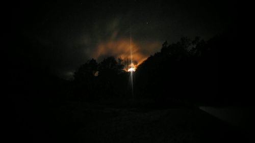 Trees against sky at night