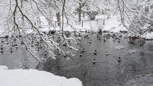 Scenic view of frozen lake during winter