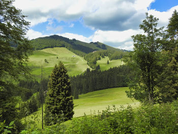 Scenic view of landscape against sky