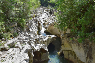 Scenic view of waterfall in forest