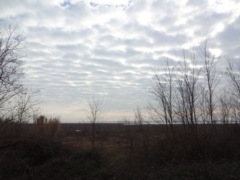 Silhouette bare trees on field against sky