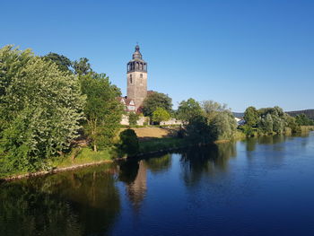 Reflection of trees in water
