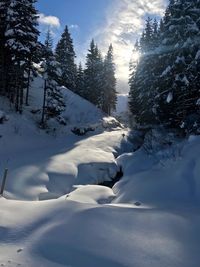 Snow covered land and trees against sky