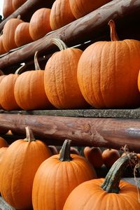 Pumpkins for sale at market stall