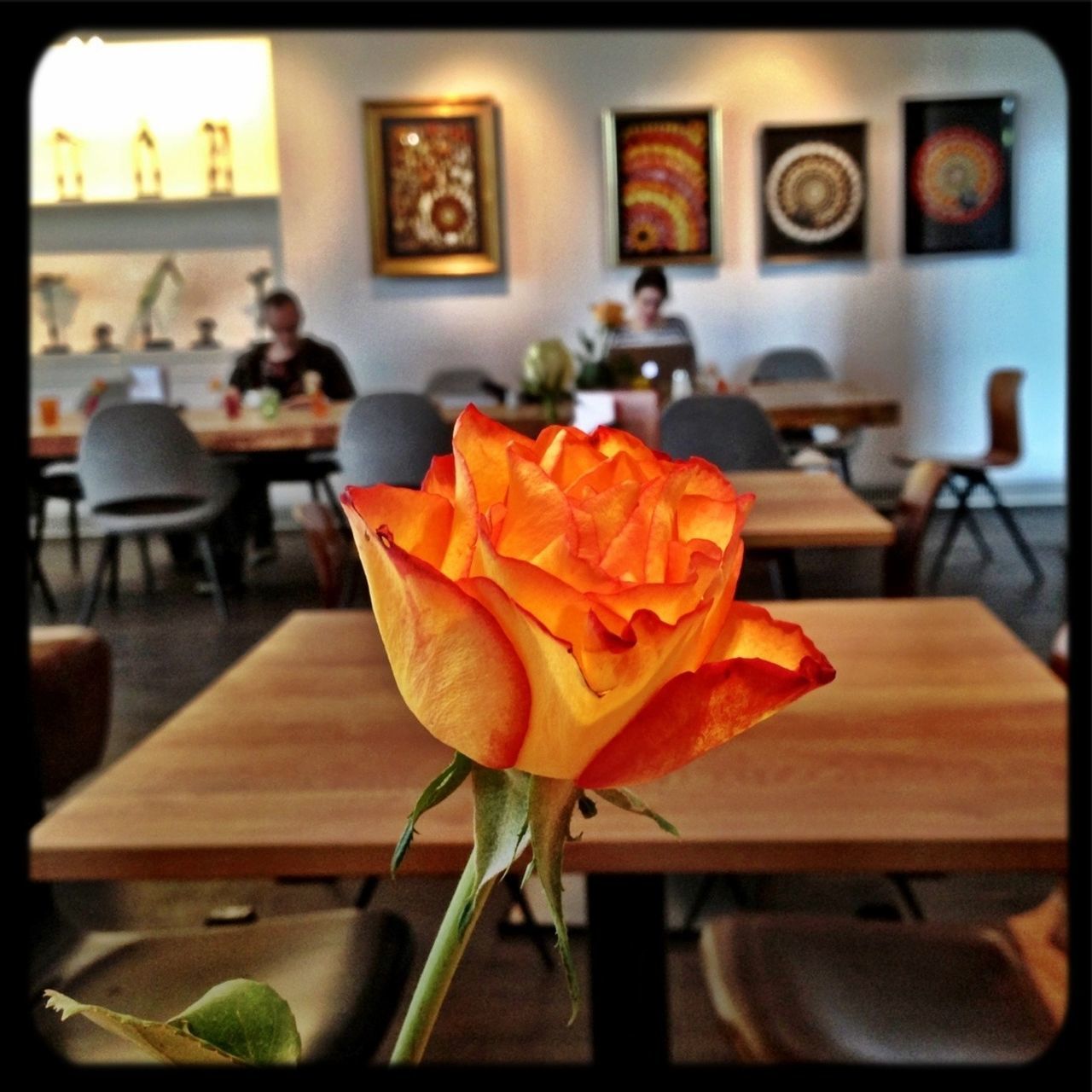 indoors, table, transfer print, chair, restaurant, auto post production filter, flower, freshness, focus on foreground, vase, home interior, close-up, plate, place setting, incidental people, window, day, no people, dining table, food and drink