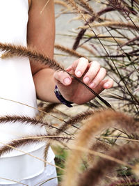 Close-up of woman hand holding plant