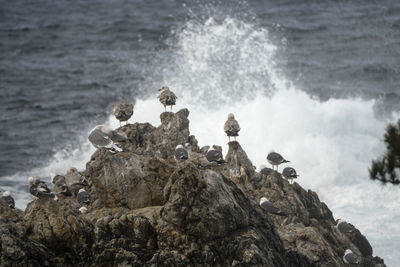 Panoramic view of waves breaking against sky