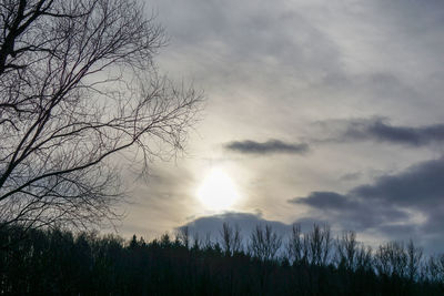 Low angle view of silhouette bare trees against sky during sunset