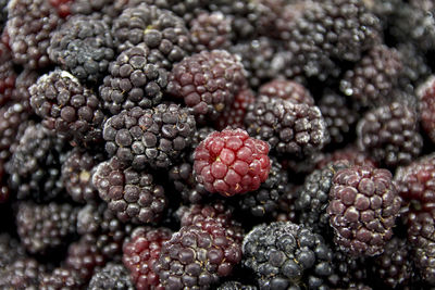 Full frame shot of berries