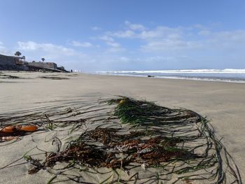 Scenic view of beach against sky