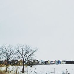 Bare trees on landscape against clear sky