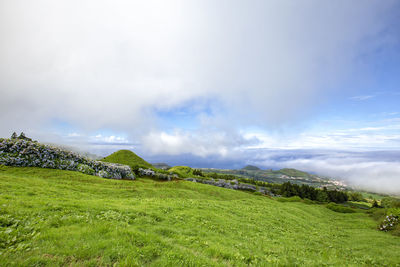 Scenic view of field against sky