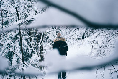 Bird on snow covered tree during winter