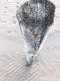 Close-up of frozen tree