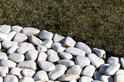 High angle view of pebbles