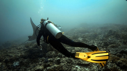 Scuba diving in sea