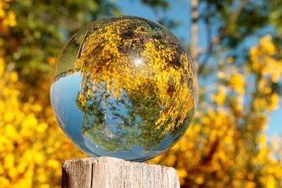 Close-up of wooden post against yellow sky