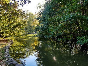 Full frame shot of trees against sky