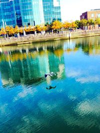 Reflection of buildings in water