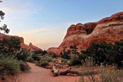 Scenic view of rock formation and plants against sky during sunset at arches national park