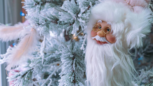 Close-up of christmas tree during winter