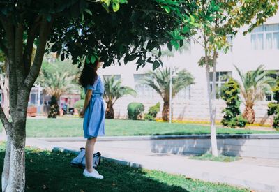 Rear view of woman walking along trees