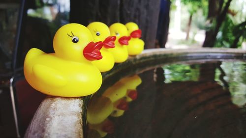 Close-up of yellow toy in water