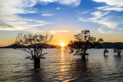 Scenic view of lake against sky during sunset