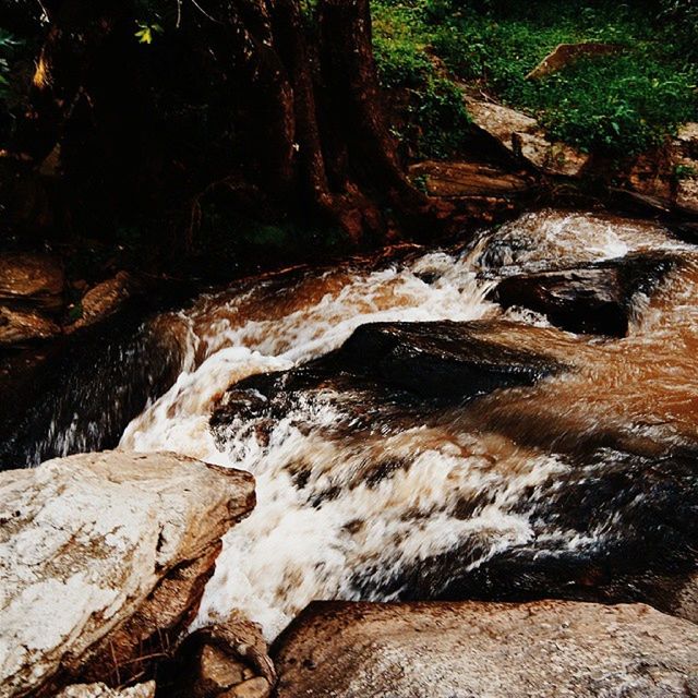 forest, rock - object, nature, water, stream, beauty in nature, tree, tranquility, scenics, tranquil scene, flowing water, motion, flowing, rock formation, river, non-urban scene, outdoors, no people, long exposure, day