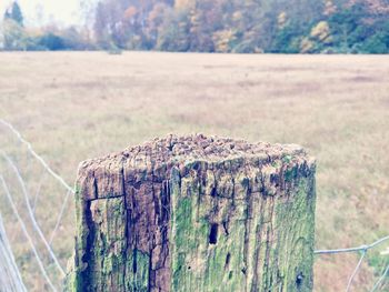 Close-up of fence on field