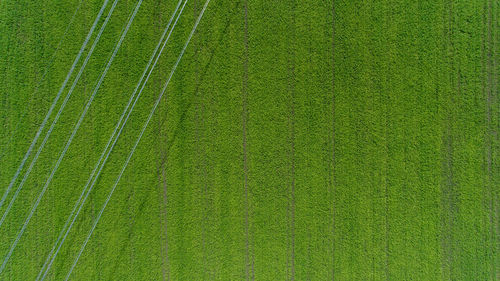 Full frame shot of green field