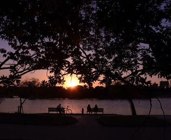 Silhouette of trees at sunset